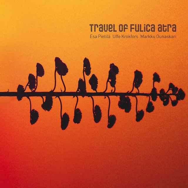 Esa Pietilä trio | Travel of Fulica Atra